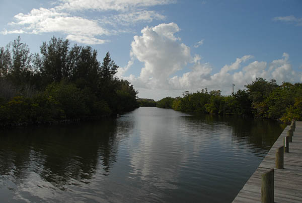 DSC_0394_03-18-09