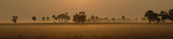 PrairieSunrisePasture